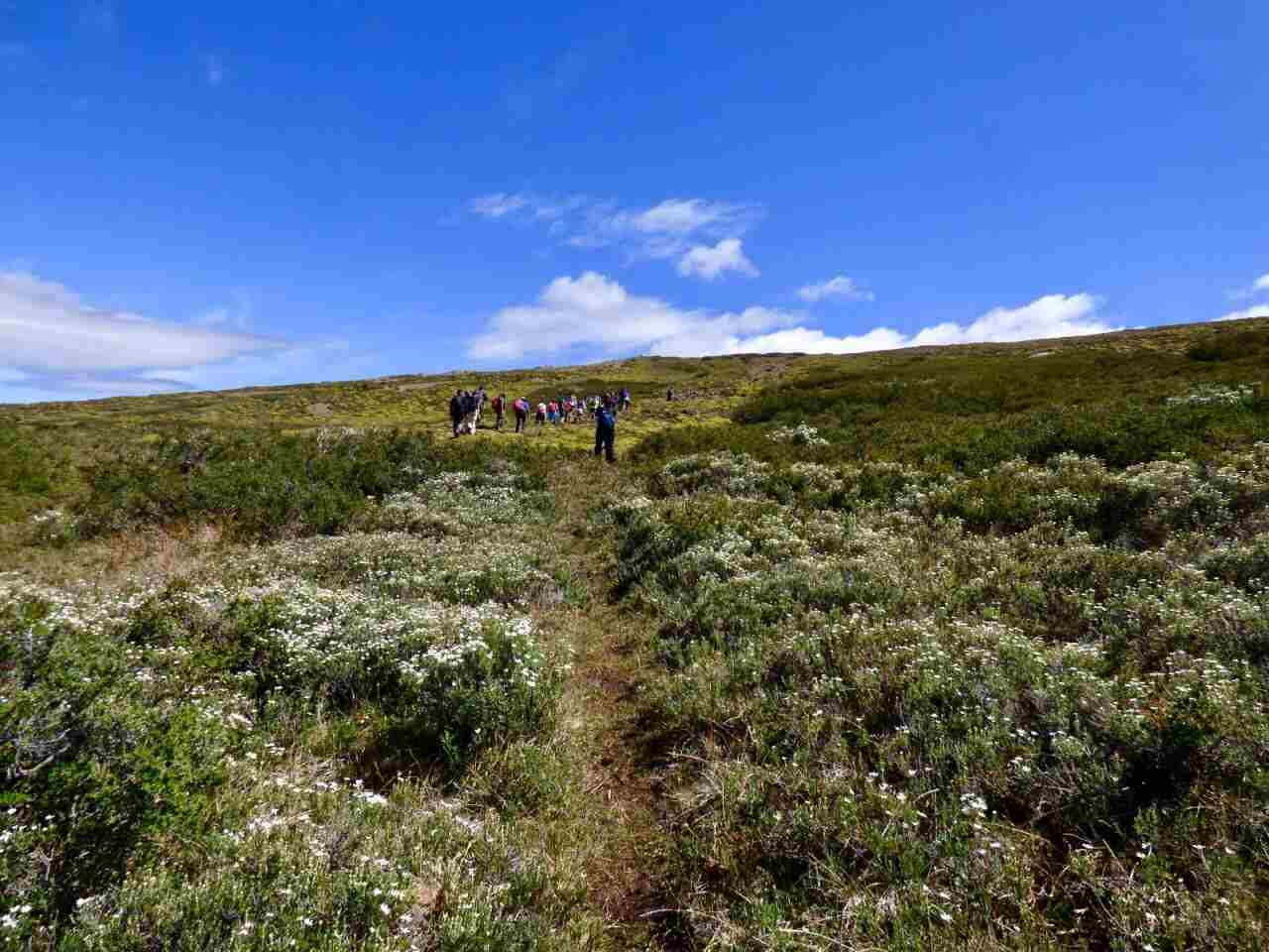 Con una gran convocatoria se inauguró  el sendero de trekking al Cerro Michi