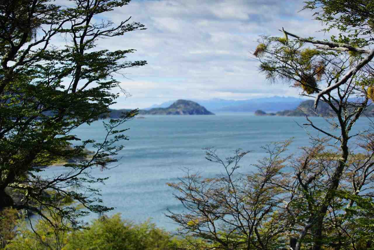 Promoción especial en el Parque Nacional Tierra del Fuego